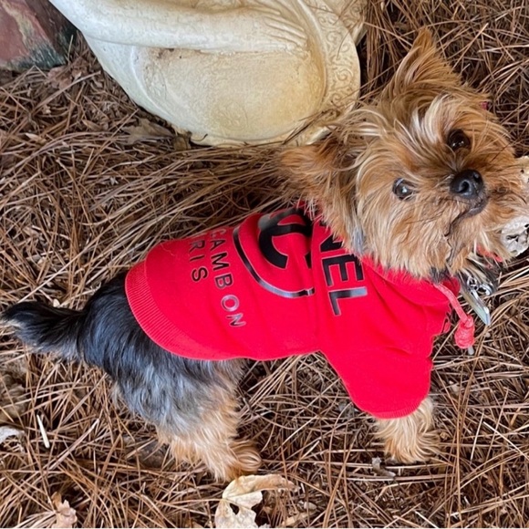 Hi I’m Angela with @angelas_avenue ❤️ 🛍️🩷 - Picture 6 of 16